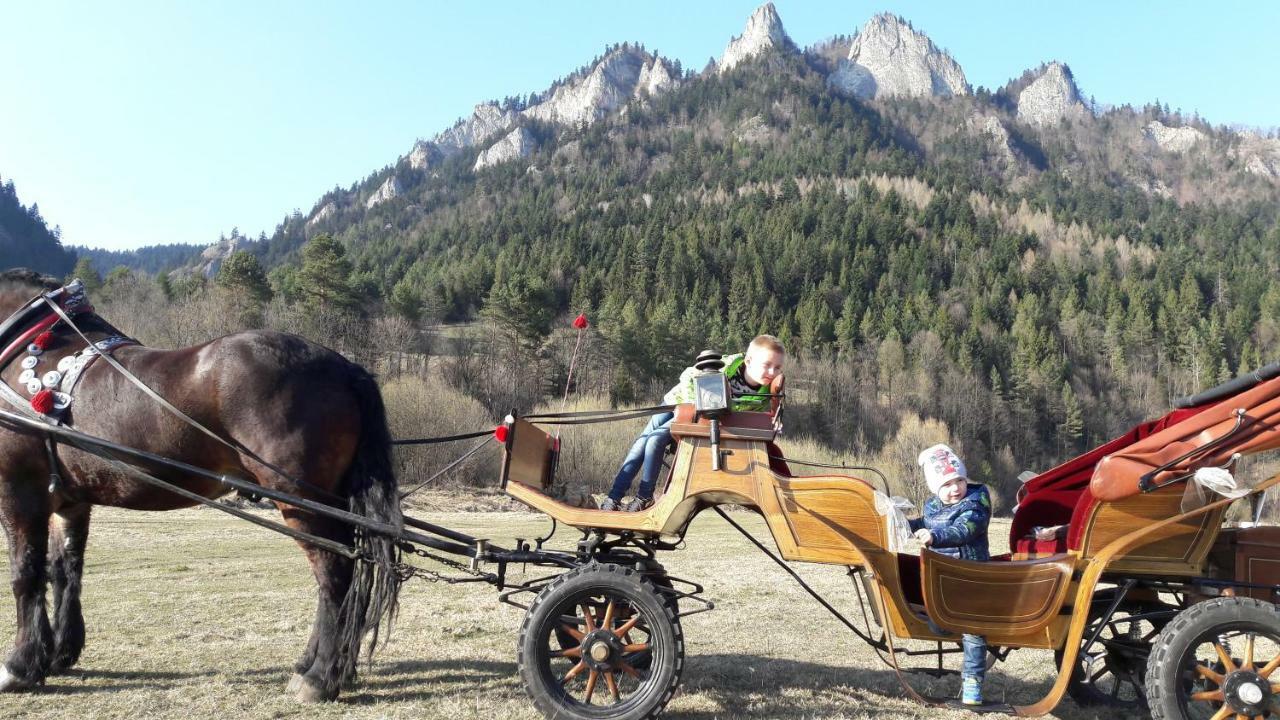 Pokoje U Pitera Sromowce Wyzne Exterior foto